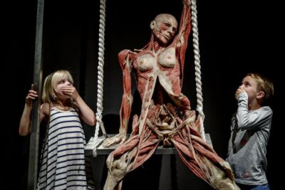 Kinderen bij plastinaat in Bodyworlds Amsterdam